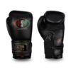 NoBoxingNoLife Alvarez Gel Boxing Gloves RIVAL RS11V Gloves