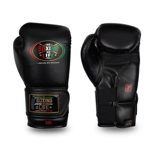 07734cf7be62b80719b5fa89dc563f3 NoBoxingNoLife Alvarez Gel Boxing Gloves RIVAL RS11V Gloves