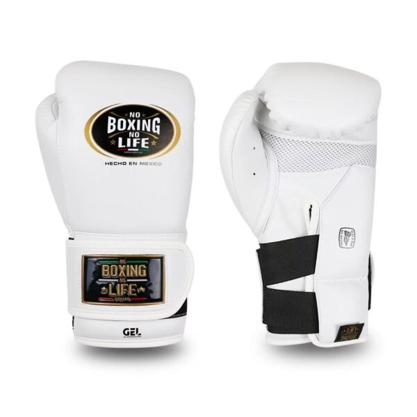 37629db38ca073d42aab56710c26b13 NoBoxingNoLife Alvarez Gel Boxing Gloves RIVAL RS11V Gloves
