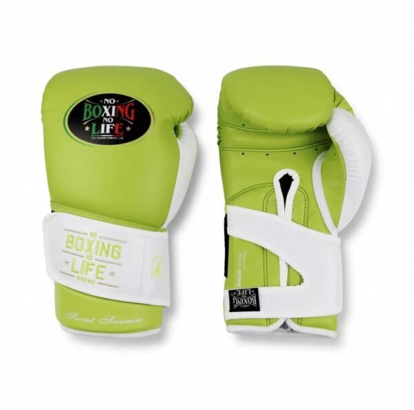 41fd1637ca76c72094be01e5d335ed4 NoBoxingNoLife Sweet Science Boxing Gloves Muay Thai Sparring Horsehair Feeling Latex Boxing Gloves