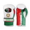 NoBoxingNoLife Alvarez Tethered Horsehair Boxing Gloves Muay Thai Fighting Sandbags Seek & Destory Boxing Gloves