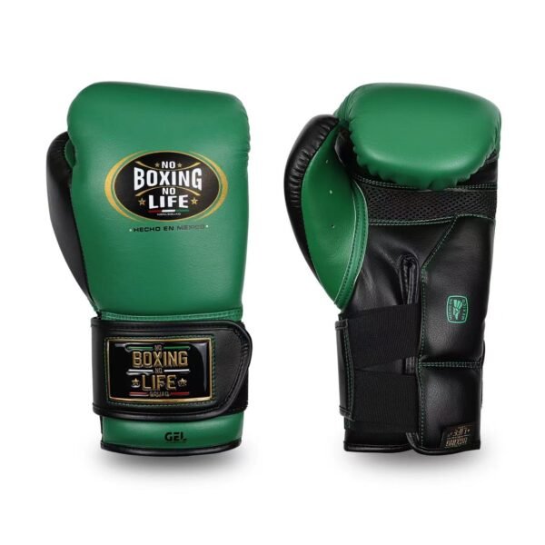 755d9e7230f5adf2a98a01de07fdfe8 NoBoxingNoLife Alvarez Gel Boxing Gloves RIVAL RS11V Gloves