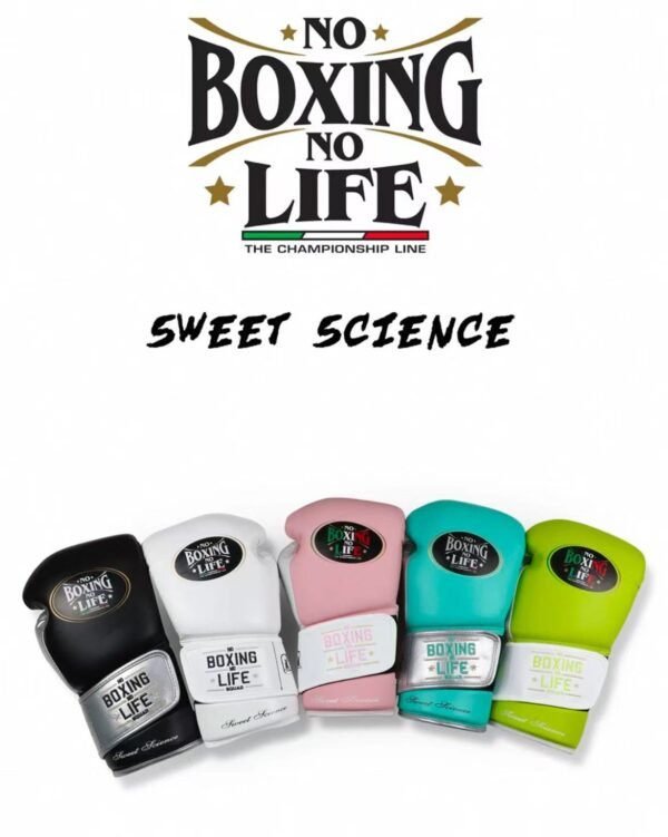 786685a55cf953ad8995c8a51fe3086 NoBoxingNoLife Sweet Science Boxing Gloves Muay Thai Sparring Horsehair Feeling Latex Boxing Gloves