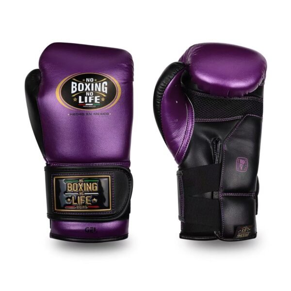 bb94f325bcee494f38ee10d89f1404f NoBoxingNoLife Alvarez Gel Boxing Gloves RIVAL RS11V Gloves