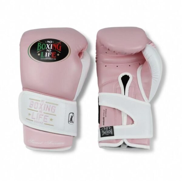 be296c03339145924f9328506c7cf1a NoBoxingNoLife Sweet Science Boxing Gloves Muay Thai Sparring Horsehair Feeling Latex Boxing Gloves