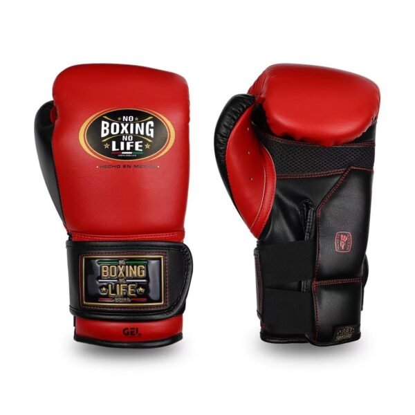 bf917cd53cf3c709d25b2336877bbe0 NoBoxingNoLife Alvarez Gel Boxing Gloves RIVAL RS11V Gloves