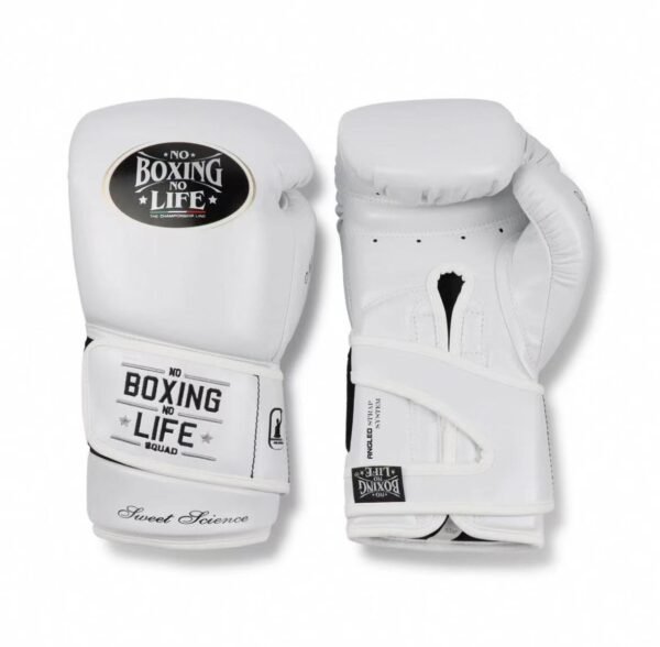 d267ef433080e178cb1420f9999291f NoBoxingNoLife Sweet Science Boxing Gloves Muay Thai Sparring Horsehair Feeling Latex Boxing Gloves