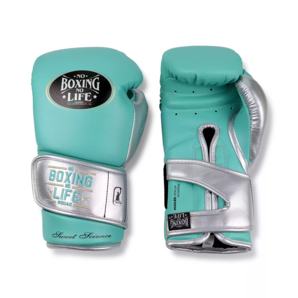 微信图片_20250325152831 NoBoxingNoLife Sweet Science Boxing Gloves Muay Thai Sparring Horsehair Feeling Latex Boxing Gloves