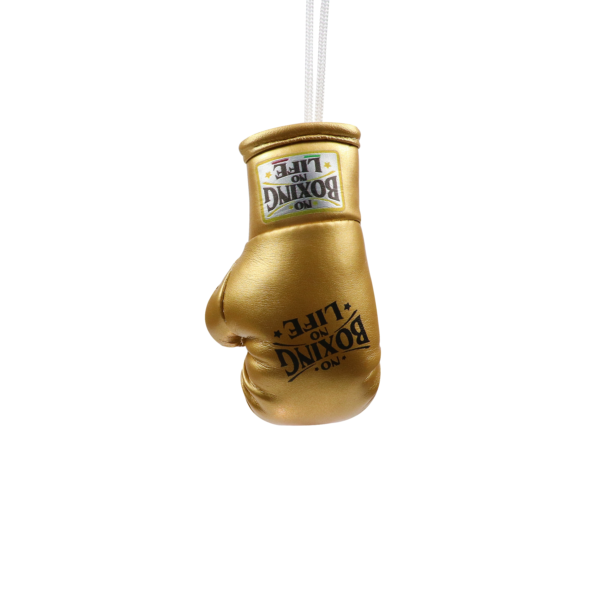 NoBoxingNoLife Mini Boxing Gloves Keychain Charm Pendant Car Decoration