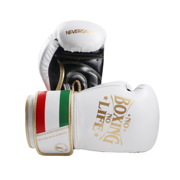 1743879425218 NoBoxingNoLife Men's and Women's Sanshou Professional Boxing Gloves Adult Muay Thai Fighting Sandbags Awa Gloves