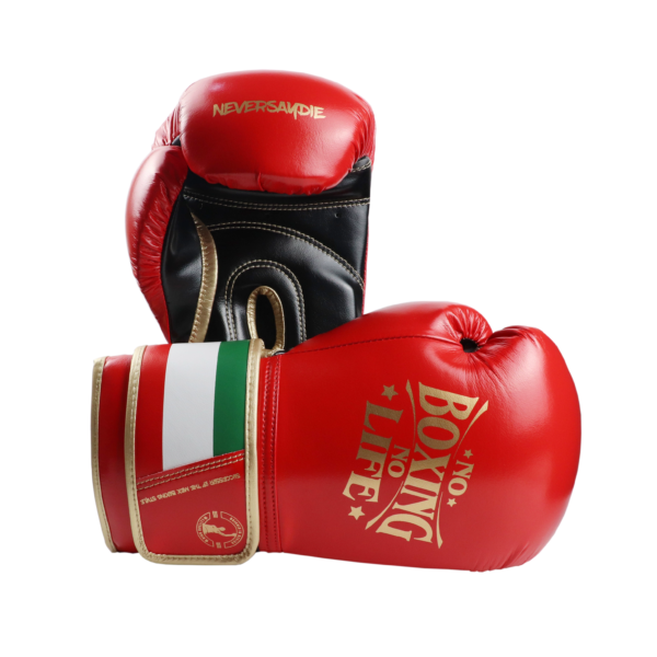 1743879446669 NoBoxingNoLife Men's and Women's Sanshou Professional Boxing Gloves Adult Muay Thai Fighting Sandbags Awa Gloves