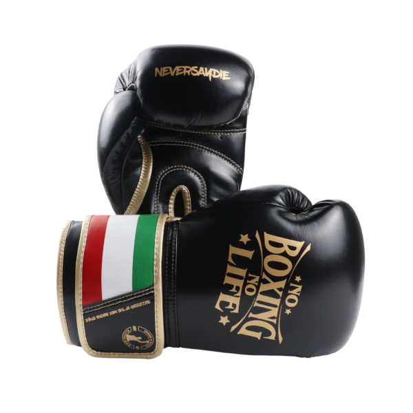 1743879461496 NoBoxingNoLife Men's and Women's Sanshou Professional Boxing Gloves Adult Muay Thai Fighting Sandbags Awa Gloves