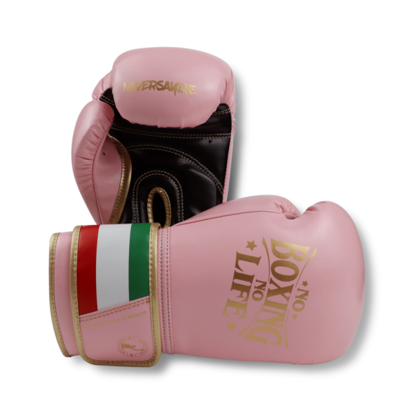 1743879485402 NoBoxingNoLife Men's and Women's Sanshou Professional Boxing Gloves Adult Muay Thai Fighting Sandbags Awa Gloves