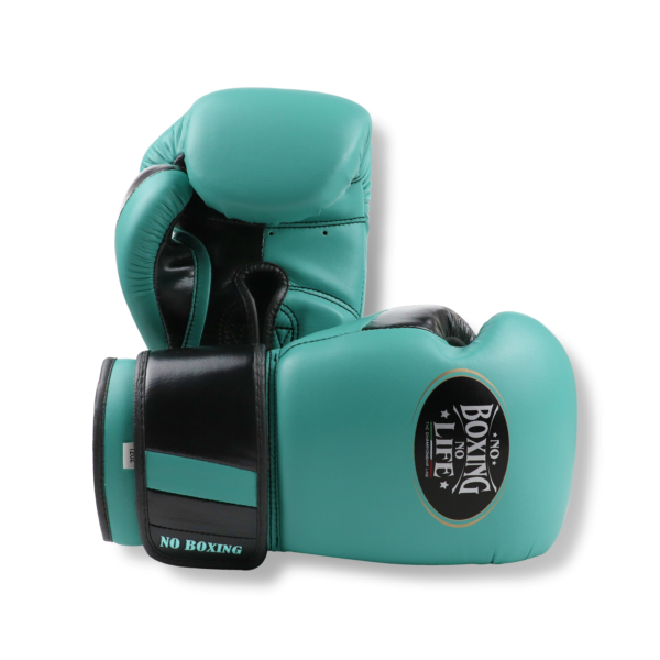 1743879965931 NoBoxingNoLife Grade A Microfiber Composite Padding Muay Thai Boxing Gloves The Real Punch Gloves