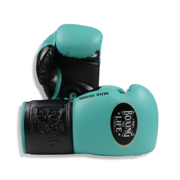 1743880319291 NoBoxingNoLife Alvarez Boxing Gloves Muay Thai Sparring Horsehair Latex Boxing Gloves