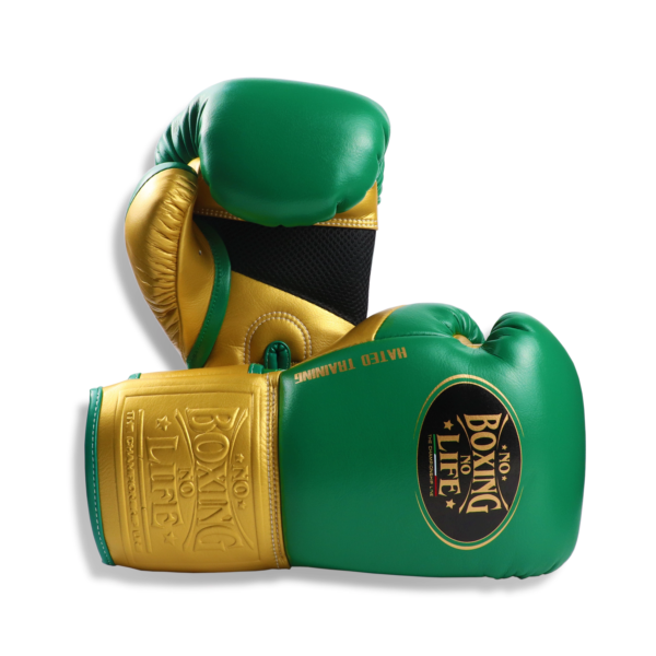 1743880353618 NoBoxingNoLife Alvarez Boxing Gloves Muay Thai Sparring Horsehair Latex Boxing Gloves
