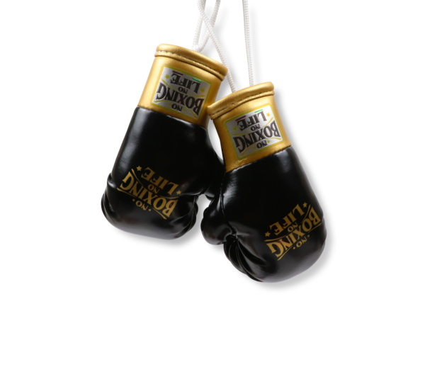 NoBoxingNoLife Mini Boxing Gloves Keychain Charm Pendant Car Decoration