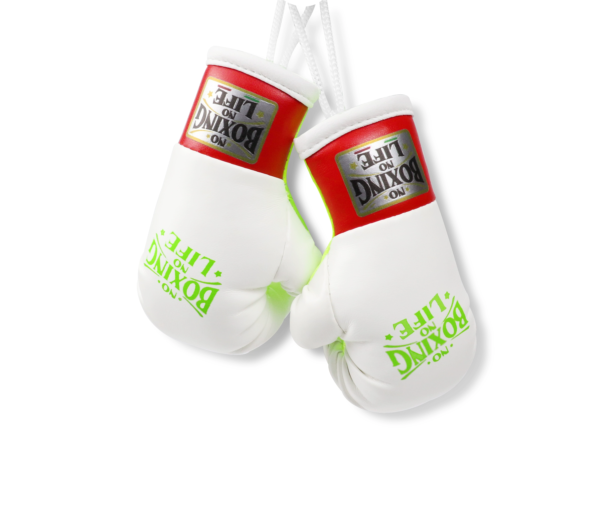 NoBoxingNoLife Mini Boxing Gloves Keychain Charm Pendant Car Decoration