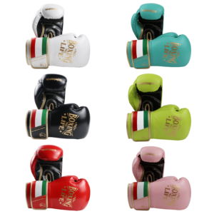 NoBoxingNoLife Men's and Women's Sanshou Professional Boxing Gloves Adult Muay Thai Fighting Sandbags Awa Gloves