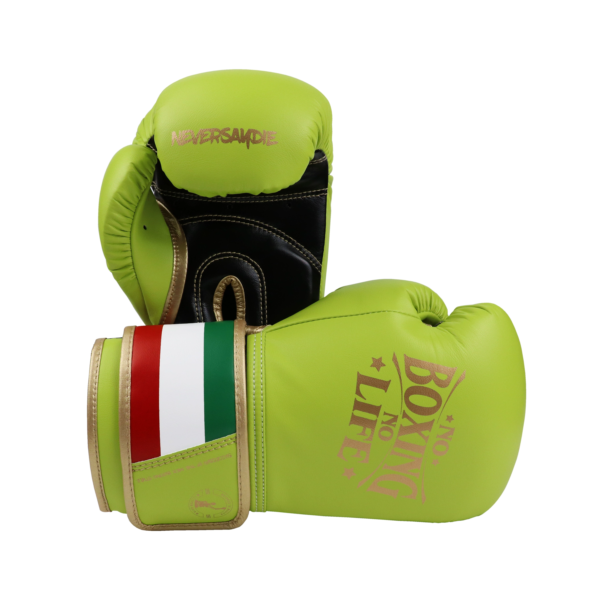 Better NoBoxingNoLife Men's and Women's Sanshou Professional Boxing Gloves Adult Muay Thai Fighting Sandbags Awa Gloves