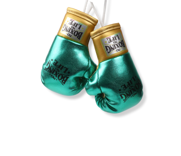 NoBoxingNoLife Mini Boxing Gloves Keychain Charm Pendant Car Decoration