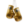 NoBoxingNoLife Mini Boxing Gloves Keychain Charm Pendant Car Decoration