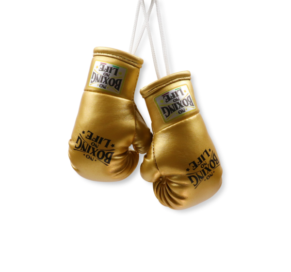 NoBoxingNoLife Mini Boxing Gloves Keychain Charm Pendant Car Decoration