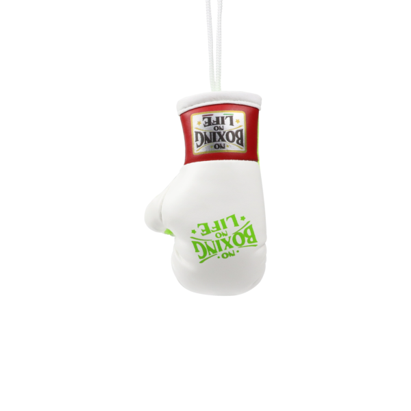 NoBoxingNoLife Mini Boxing Gloves Keychain Charm Pendant Car Decoration