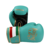 NoBoxingNoLife Men's and Women's Sanshou Professional Boxing Gloves Adult Muay Thai Fighting Sandbags Awa Gloves