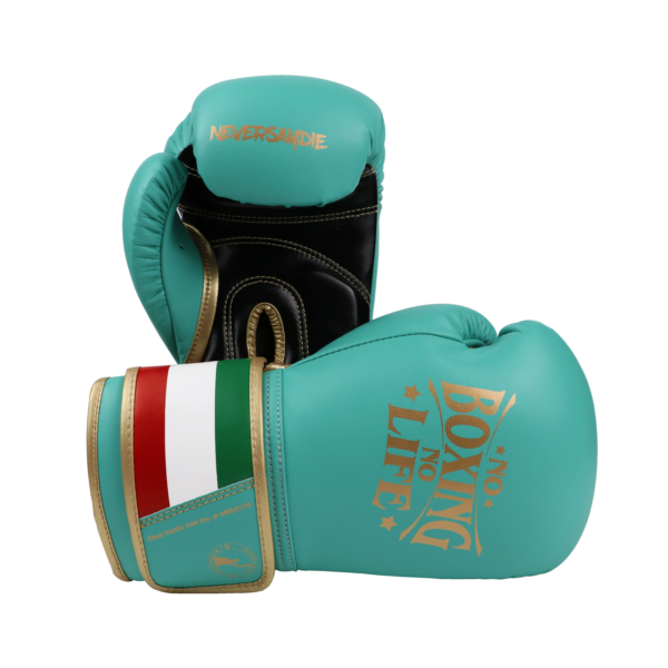 more_better NoBoxingNoLife Men's and Women's Sanshou Professional Boxing Gloves Adult Muay Thai Fighting Sandbags Awa Gloves